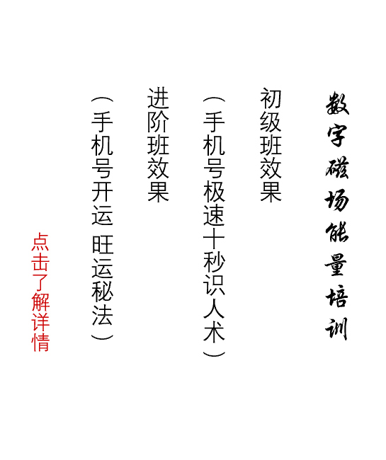 数字磁场能量培训